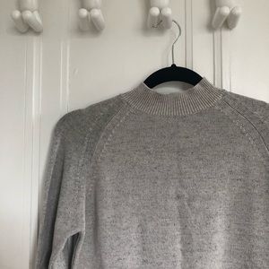 Everlane Cotton Mockneck Sweater